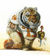 ‘Clemson Tiger’  Award-winning art by sports illustrator Jim Harris.  Detailed, realistic team mascot illustrations for team promotion and private sporting commisions.  